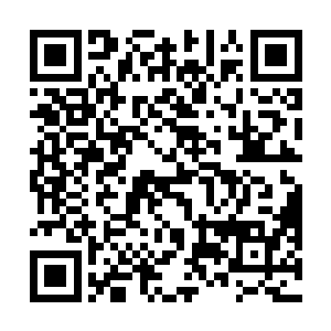 将体内这股刚刚吸纳而来的力量炼化为属于自己的力量二维码生成