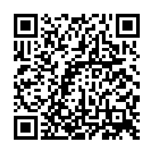 将依旧不太清楚的神识放了出去开始搜寻镇元子的下落二维码生成