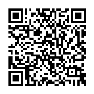 将光幕仪运转时释放出的微弱灵能波动彻底搅散二维码生成