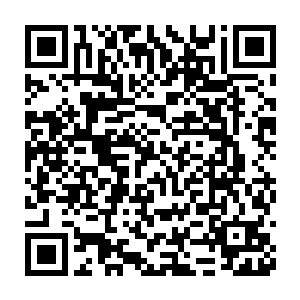 将六道天书里延伸的各个鬼王鬼帝的脉络经由六道轮回而传承往下二维码生成
