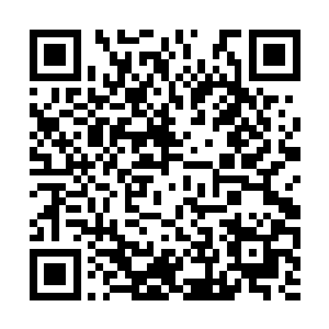 将兰子安夹在中间猛追猛打……兰子安为保存实力二维码生成