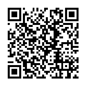 将关于金屠异的每一枚碎片都从识海深处调取出来二维码生成