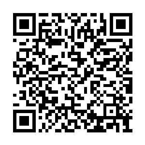 将其他六星方位的魂力转移到古战天的虚影身上二维码生成