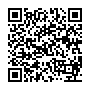 将再也没有任何力气的夜染送到了方才她落身的石头上二维码生成