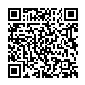 将军第一次放走公主的时候没有带回完整的尸体二维码生成