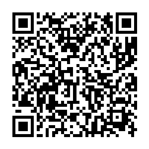将净瓶里面的泥土和百毒蟾全部都倒入了这个临时准备的沼泽池子里面二维码生成