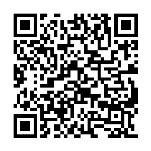 将准备好的红包赏钱挨个的分发给前来报喜的人二维码生成