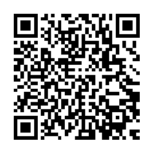 将几代皇帝变法辛辛苦苦积攒下来的家底在十余年中折腾干净的二维码生成