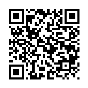 将几片组成的甲叶牢牢固定在身上二维码生成