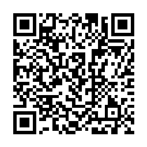 将剩下的三位三十六洞天福地的尊者也笼罩在了其中二维码生成