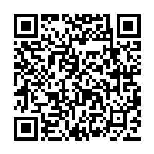 将剩下的瑶池金水与半桃核半人参果的事物收起二维码生成