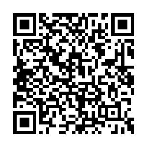 将剩下那些拦在楚旬面前的石妖和树妖尽皆斩碎二维码生成