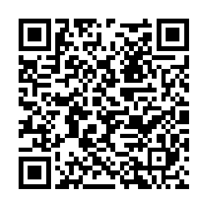 将包括李耀自己在内的所有人都困在同一个网络中二维码生成