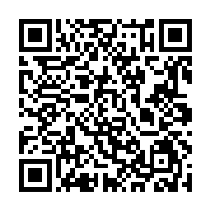 将北夜脑子里面有关修炼和炼器的资料全都留下来了二维码生成