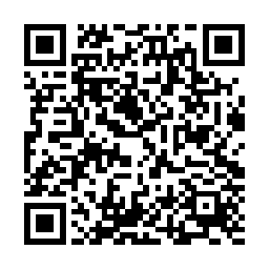 将南宫流云视为生怕唯一劲敌的冷七少从小就研究南宫流云二维码生成