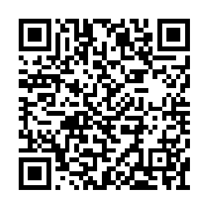 将南肖潇先前所躺的地方轰出了一个硕大的深坑二维码生成