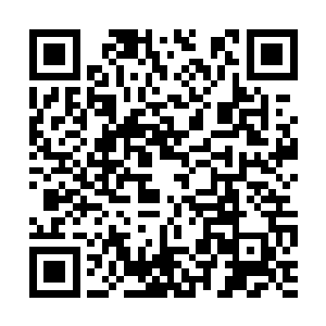 将双手使劲的插进了自己的短发里胡乱的揉了两把二维码生成