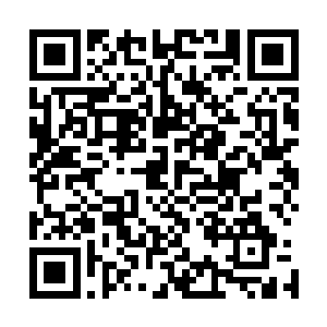 将叶知秋等人安顿妥当后沈喜臻才终于有时间过问婚礼的事二维码生成