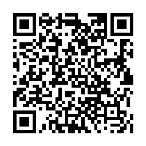 将各自组织内沾染过普通人鲜血的弟子给找出来二维码生成