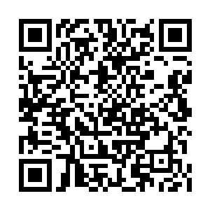 将吴媚身上那条掉到地上的毯子给重新捡了起来二维码生成