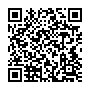 将嘴一闭上飞快的跑过来对着我身上的小手又是张着嘴就是大咬二维码生成