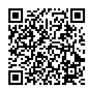 将圆圆从自己母亲手上接过抱在了怀里后便是朝着自己家走去二维码生成