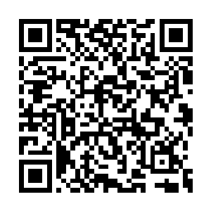 将圣果收了起来许紫烟又来到了土龙的那颗星球二维码生成