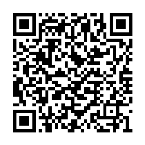将士们本已经收起的长矛又全都举起遥指夏云杰二维码生成