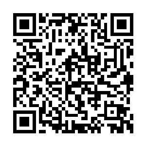 将大圣市与天姥峰外界连接和隐蔽的阵法都撤掉二维码生成