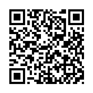 将大部分的注意力都转移到了两位界主身上二维码生成