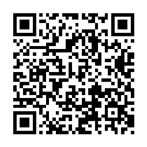 将天地规则强制性的压制在大道石之内进行封锁二维码生成