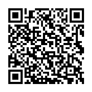 将夭华等人困在都城内等北堂国的使臣到来等等二维码生成