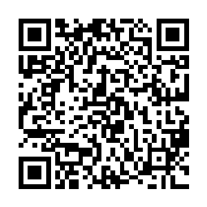 将头上如同牛角一般的尖角重重刺入了它的身体之中二维码生成