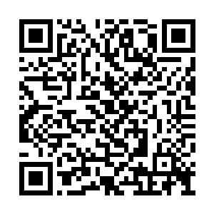 将她本就白皙的小脸衬得像千年寒潭浸透的玉髓二维码生成