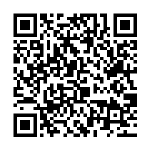 将好莱坞这个名利场的浮华和奢侈推向了全新的巅峰二维码生成