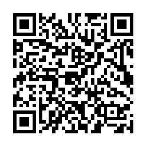 将如此一款产品全部收益用于慈善基金也的确是大手笔二维码生成