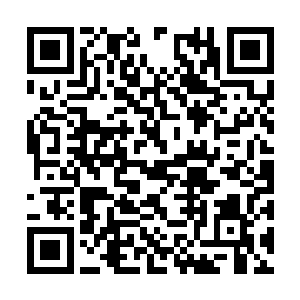 将姓金的那小子和他的那个保镖直接就捆成了粽子二维码生成