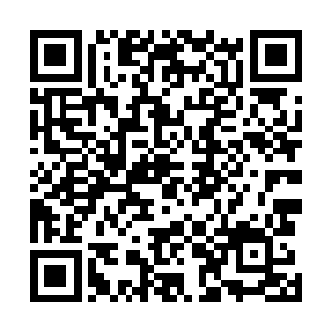 将孙子轩包围在中央的众人一下子变成了孙子轩的挡箭牌二维码生成