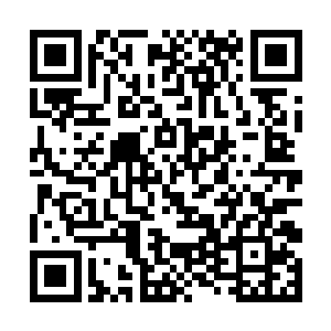 将实力达到绝世强者三炼巅峰的黄金罪民王包围起来二维码生成