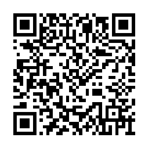 将对方拉成黑骨林的名誉教授的话……那种场面二维码生成