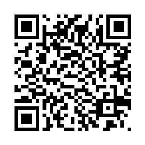 将小白的那一丝龙族血脉也弄上去了二维码生成