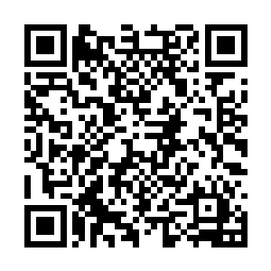 将小红他们还有空中那飘荡的婴灵收入了符咒之中二维码生成