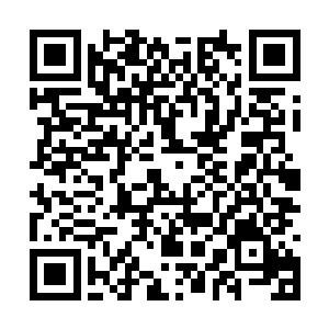 将张无界的状况和自己探查出来的结果告知了混乱二维码生成