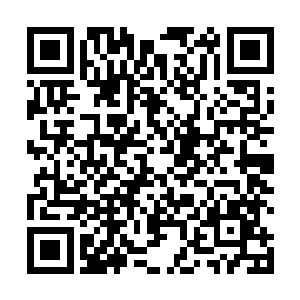 将我们水族在万星云城内三千六百家的买卖全都交给您二维码生成