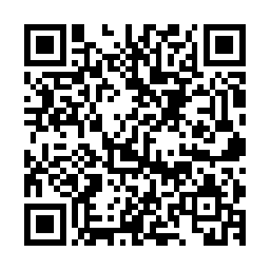 将我在葬神之地和回到星空中发生的事情一一向她汇报了一遍二维码生成