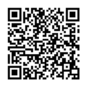 将我苦修三十余年的修为还给我……杨晨真人不计前嫌二维码生成