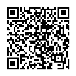 将所有他知道的拥有上古异兽血脉的妖兽统统劫掠了一遍二维码生成