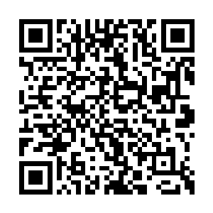将所有受小天罗地网分割而离散的黑属天仙本体二维码生成
