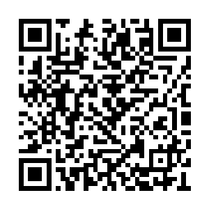 将手中重剑狠狠斩在了另外一个圣甲虫人的身上二维码生成