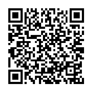 将手中金光四射的砖块朝着霍君白顶门狠狠砸去二维码生成